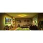 Світильник Govee 38cm Smart Ceiling Light Pro, RGBICWW, WI-FI/Bluetooth, білий (H60A6C01) - зменшене зображення 7