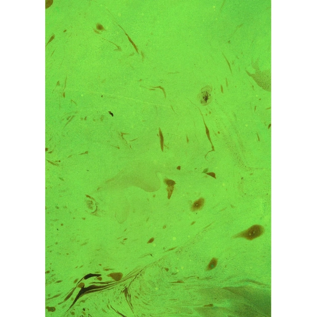 Книга Зелене чаклунство. Як відкрити для себе магію квітів, трав, дерев, кристалів тощо - П. Вандербек Vivat (9786171704749) - picture 5