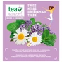 Чай Tea Moments Swiss Herbs зелений 20х1.7 г пірамідки (tm.02944) - зменшене зображення 6