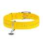 Нашийник для тварин WAUDOG Glamour з QR-паспортом, подвійний Ш 25 мм Д 38-49 см жовтий (38788) - зменшене зображення 2