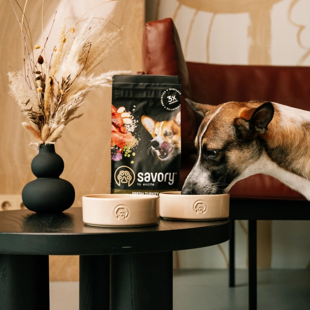 Посуд для собак Savory Керамічна миска Classic Ceramic Bowl Savory 450 мл (2700000055083) - picture 5