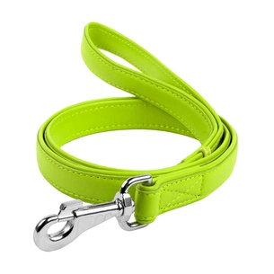 Повідець для собак WAUDOG Glamour шкіряний S салатовий (33735) зображення 1