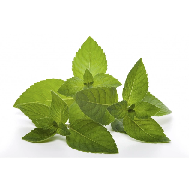 Бальзам для тіла Dr. Wild Dolofresh з натуральними ефірними оліями 10 мл (7611841129008) - picture 4