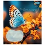 Зошит 1 вересня Butterfly А5 24 аркушів клітинка (767273) - зменшене зображення 4