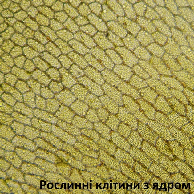 Мікроскоп Bresser Biolux LCD Touch 50x-2000x (5201020) (928558) - picture 6