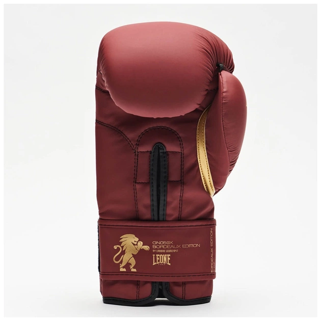 Боксерські рукавички Leone GN059X Bordeaux ED 10 унцій (GN059X_BORDEAUX_10oz) - зображення 6