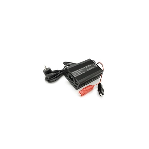 Сетевое зарядное устройство для АКБ Voltronic Li-ion 48V(54,6V), 13S, 5A (YT-54650) изображение 1