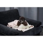 Килимок для тварин Pet Fashion Bliss 1 86х67.5 пудра (4823082441396) - зменшене зображення 7