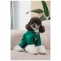 Комбинезон для животных Pet Fashion EGO S2 зеленый (4823082437702) - уменьшенное изображение 7