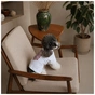 Футболка для животных Pet Fashion Ukraine M (4823082446223) - уменьшенное изображение 3
