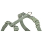 Шлея для собак Trixie Premium H-harness XXS-XS 20-32 см 10 мм Світло-зелена (4053032673045) - зменшене зображення 2