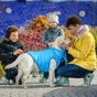 Курточка для тварин Airy Vest двостороння XS 25 чорно-блакитна (1599) - зменшене зображення 5