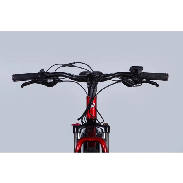 Електровелосипед Formula 29" eF-1 DD CS рама-21" 48B 12.5А*г 500Вт 2026 червоно-сріблястий (ELB-FR-29-253) - picture 4