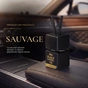 Ароматизатор для автомобиля Vitol Osvizhuvach povitrya VITOL Black Label Sauvage VII 8ml V230407 (V230407) - уменьшенное изображение 11