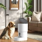 Посуд для собак Lapka Розумна Годівниця з Wi-Fi 4 л (LPK-29) - зменшене зображення 3