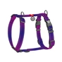 Шлея для собак WAUDOG Nylon Mono H-подібна з QR паспортом, світловідбивна, S фіолетова (54569) - зменшене зображення 1
