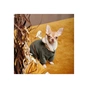 Костюм для тварин Pet Fashion ALF S хакі (4823082430000) - зменшене зображення 4