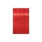 Краска для волос Schwarzkopf Professional Igora Vibrance Концентрат 0-88 – Красный (7702045160291) - уменьшенное изображение 2