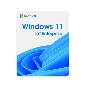 Операційна система Microsoft Windows 11 IoT Enterprise LTSC 2024 Perpetual, Commercial, OneTime (DG7GMGF0PP49_0001) изображение 1