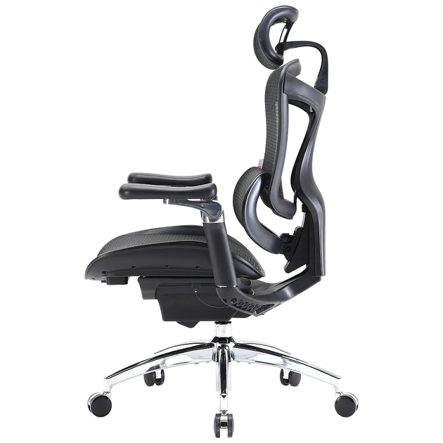 Офісне крісло Sihoo DORO C300 Pro Mesh Black (DORO-C300-PRO-M101) - picture 3