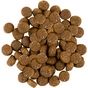 Сухий корм для собак Savory Adult All Breeds rich in Fresh Duck and Rabbit 1 кг (4820232630167) - зменшене зображення 5
