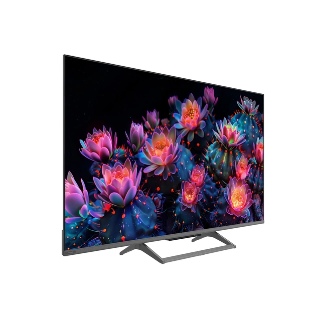 Телевізор Ergo 55MQ90 - зображення 9