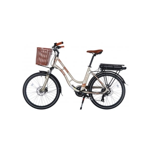 Електровелосипед Trinx E-Bike Sella 2.0 24" рама-17" Champagne-Gold (Sella2_17.CG) зображення 1