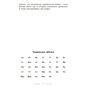 Навчальний довідник НУШ Універсальний комплексний словник-довідник молодшого школяра Ранок (9786170911360) - зменшене зображення 6