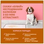 Спрей для тварин OUT! GO HERE для привчання собак до туалету 945 мл (0010279705445) - зменшене зображення 3
