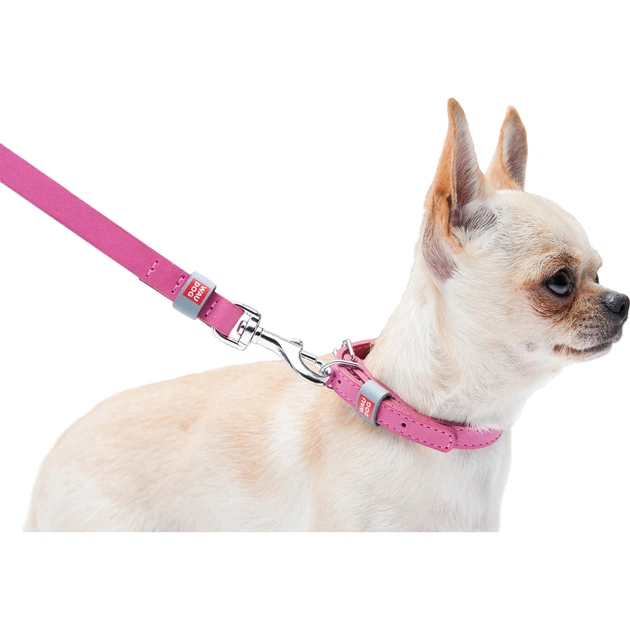 Нашийник для тварин WAUDOG Classic шкіряний 12 мм х 19-25 см рожевий (02017) - picture 8