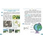 Підручник Я досліджую світ. Для 4 класу ЗЗСО у 2-х частинах. Частина 1 - Н.М. Бібік, Г.П. Бондарчук Ранок (9786170969002) - зменшене зображення 6