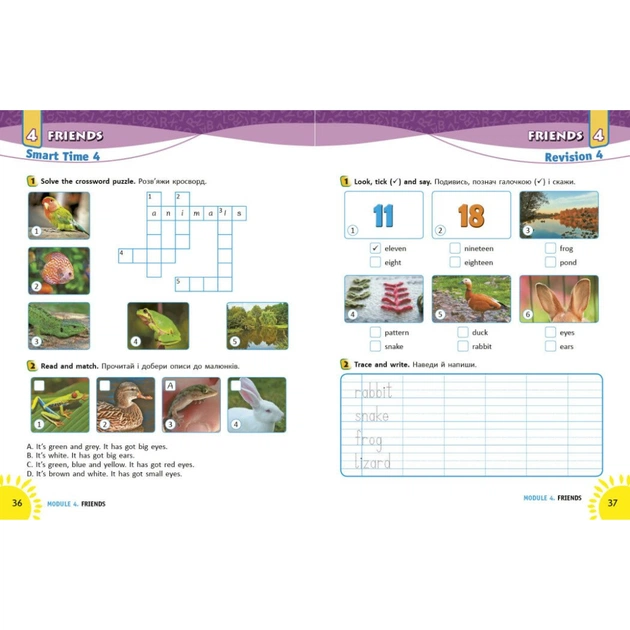 Робочий зошит НУШ Англійська мова. 2 клас. Із прописами. До підруч. Г. К. Мітчелла - Лана Грейс Ранок (9786177048410) - picture 6