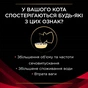Вологий корм для кішок Purina Pro Plan Veterinary Diets DM ST/OX Diabetes Management Регулювання надходження глюкози 195 г (8445290105233) - зменшене зображення 4