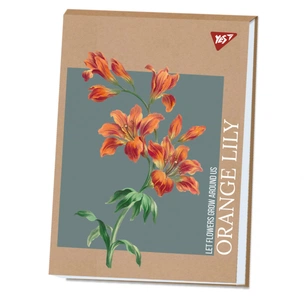 Альбом для малювання Yes А4 40 аркушів клеєний білила "Lily" крафт (130584) зображення 1