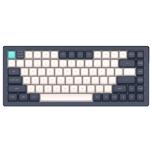 Клавіатура Dark Project KD83A PBT RGB Mech G3MS Sapphire USB Ivory/Navy (DPP83_GSH_NAVY_ANSI_UA) зображення 1