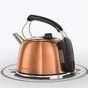 Електрочайник Russell Hobbs 25861-70 - зменшене зображення 2