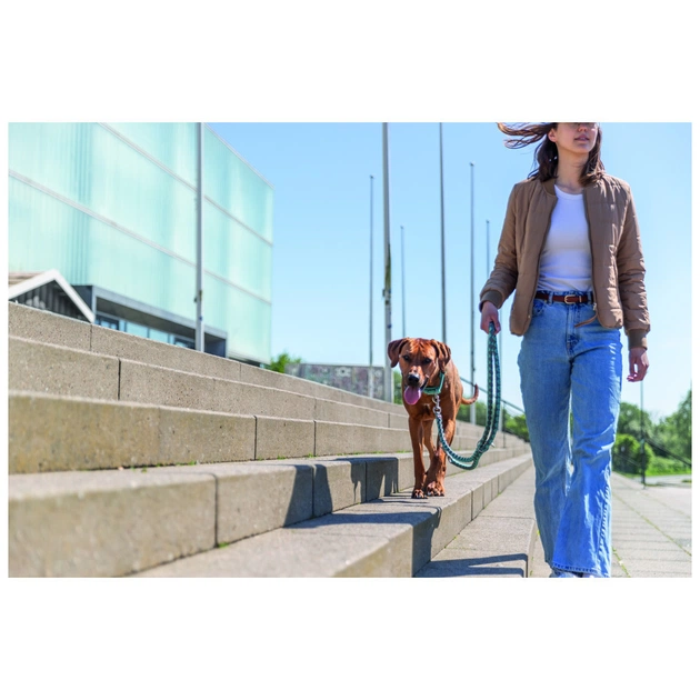 Поводок для собак Trixie Cavo регулируемый S–M 2 м диаметр 12 мм аква-графит (4053032677913) - изображение 4