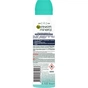 Антиперспірант Garnier Mineral Максимальний захист 72 години спрей 150 мл (3600541184923) - уменьшенное изображение 2