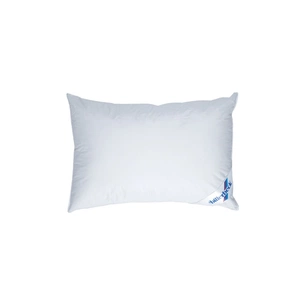 Подушка Billerbeck Марта 40х60 (1510-01/46) зображення 1