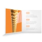 Струни для гітари D'Addario XS 80/20 Bronze Extra Light (10-47) (XSABR1047) - зменшене зображення 4