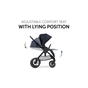Коляска Hauck 2 в 1 Walk N Care (Dark Navy Blue) (16545-4) - зменшене зображення 7