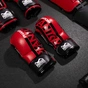 Рукавички для MMA Phantom Apex Red L/XL (PHMMAG2728-LXL) - зменшене зображення 9
