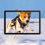 Скло захисне BeCover Blackview Tab 70 WiFi 10.1" (712823) - зменшене зображення 5
