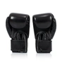 Боксерські рукавички Fairtex BGV1 Black 10 унцій (бинти в комплекті) (BGV1_10oz_Black) - зменшене зображення 4
