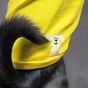 Борцівка для тварин Pet Fashion "Puppy" XS2 жовта (4823082420148) - зменшене зображення 5