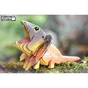 Пазл Eugy 3D Зоопарк Плащоносна ящірка (XEG-108) - preview 8
