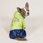 Дощовик для тварин Pet Fashion "PULSE" XS (синій із зеленим) (4823082422821) - зменшене зображення 4