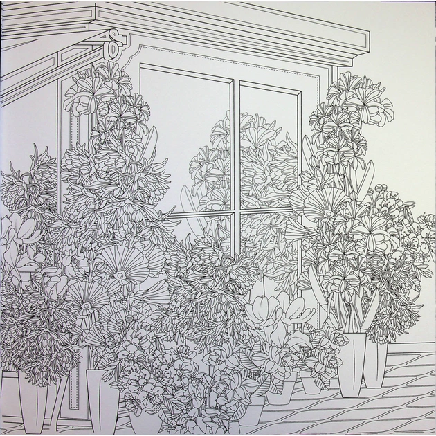 Книга Міські джунглі - Сара Муціо Жорж (9786178287214) - picture 10