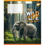 Зошит Yes The wild in the city А5 60 аркушів клітинка (767770) - зменшене зображення 2
