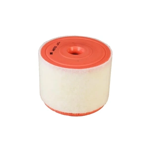 Повітряний фільтр для автомобіля Wixfiltron WA9732 зображення 1